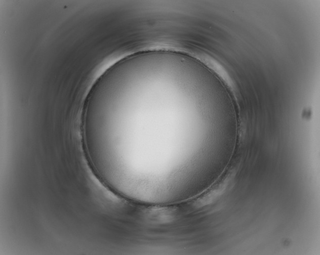 X0000096960847200802081228
