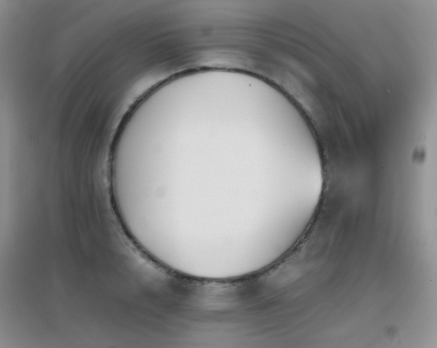 X0000096960848200802081229