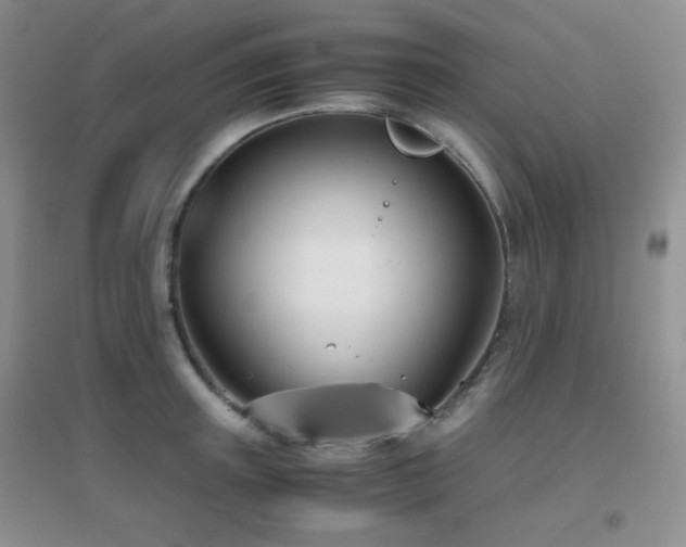X0000096960851200802081229