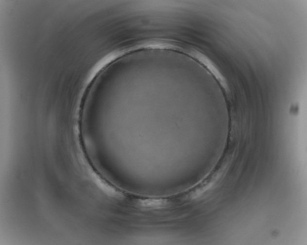 X0000096960853200802081229