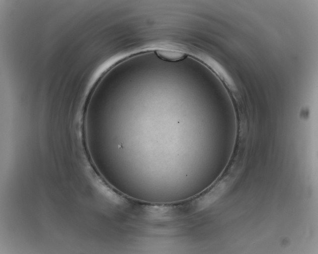 X0000096960854200802081229