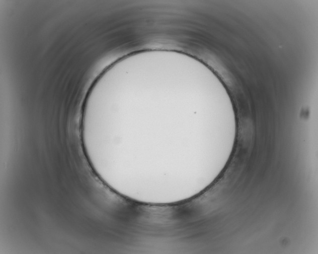 X0000096960856200802081229
