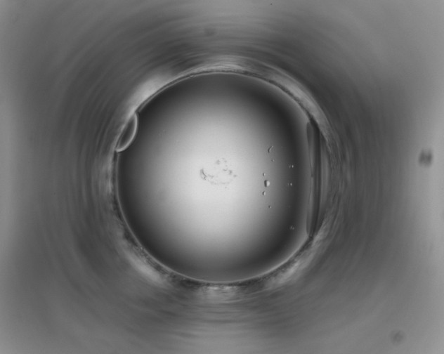 X0000096960858200802081229