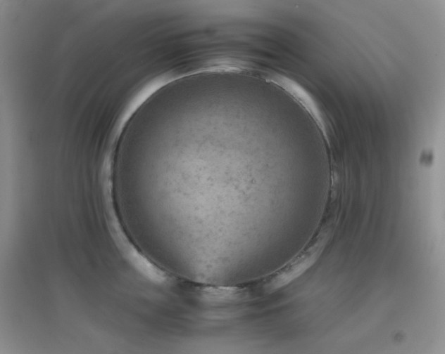 X0000096960859200802081229