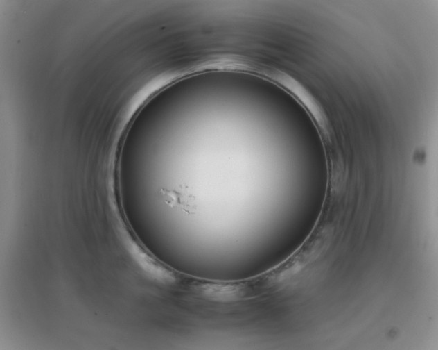 X0000096960861200802081229
