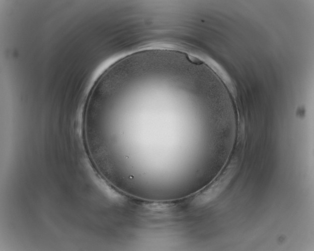 X0000096960862200802081229