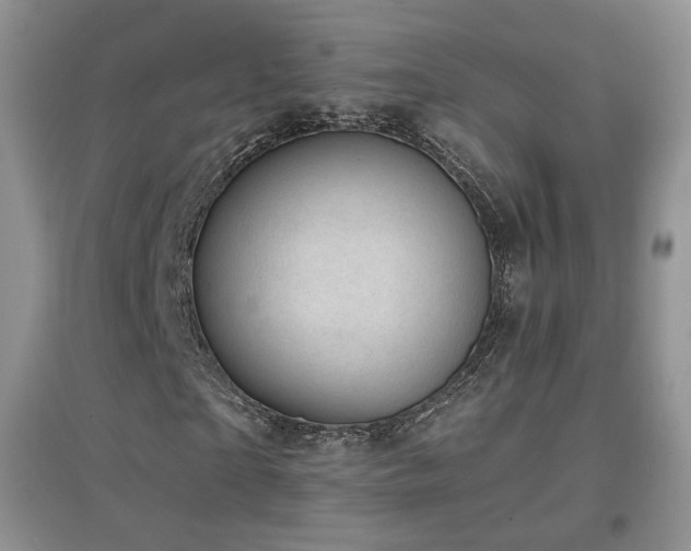 X0000096960865200802081228