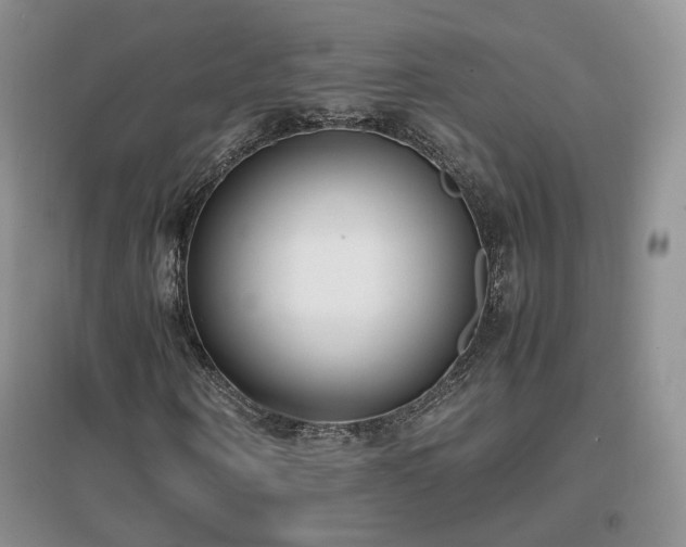 X0000096960866200802081228