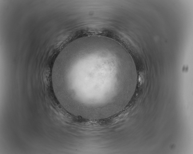 X0000096960867200802081228
