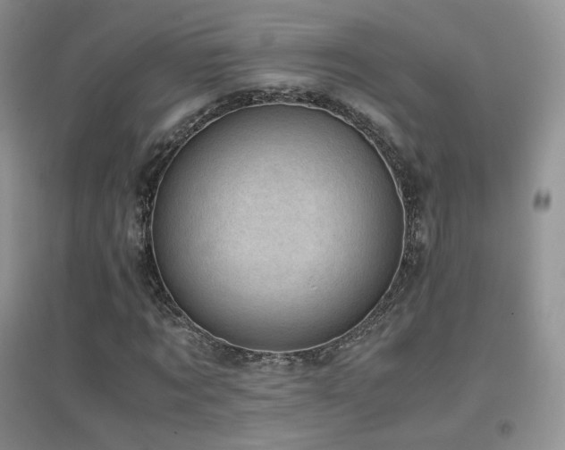 X0000096960869200802081228