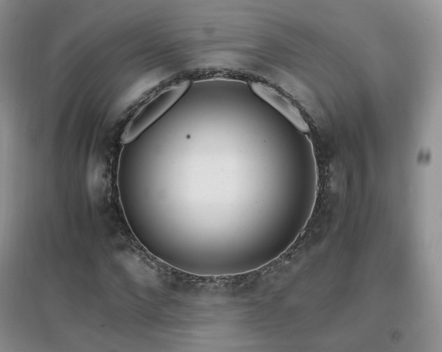 X0000096960872200802081228