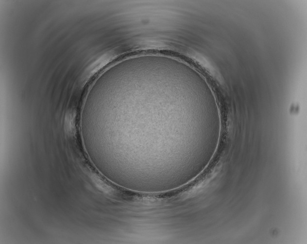 X0000096960873200802081228