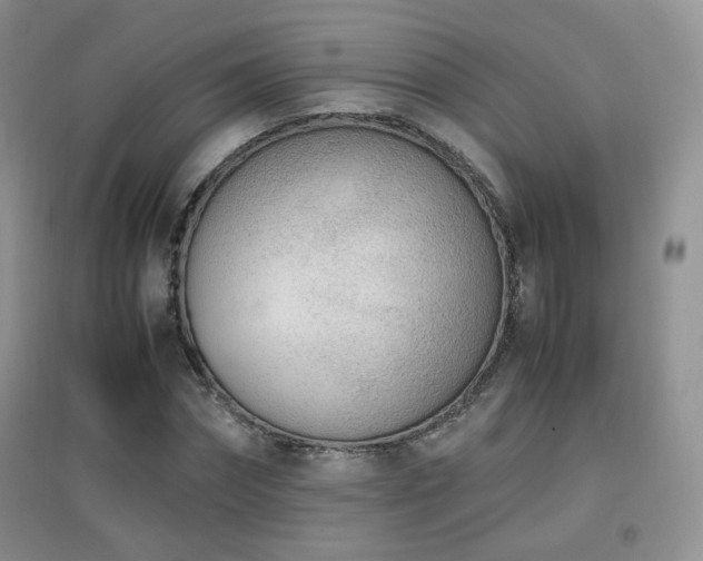 X0000096960874200802081228