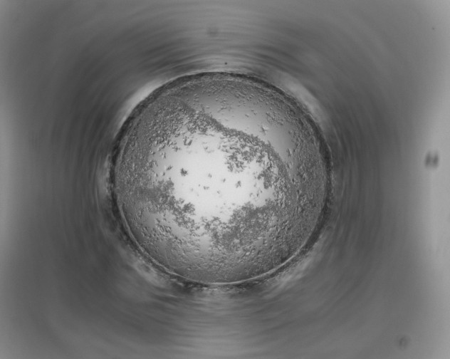X0000096960875200802081228