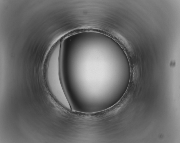 X0000096960876200802081228