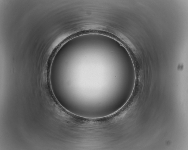 X0000096960877200802081228