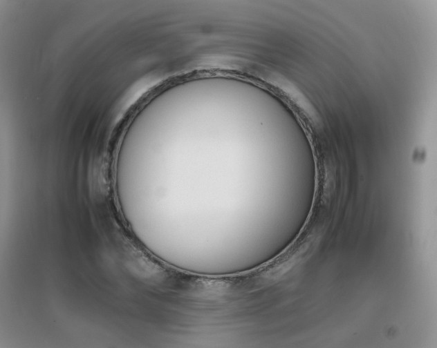 X0000096960878200802081228