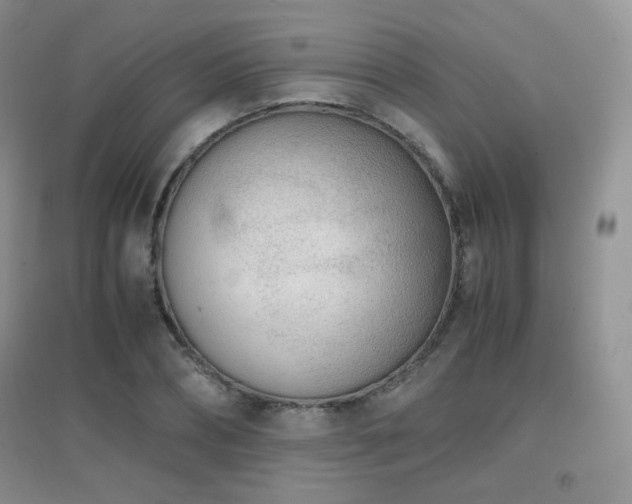 X0000096960882200802081228