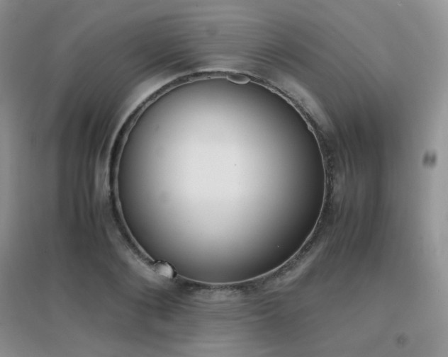 X0000096960884200802081228