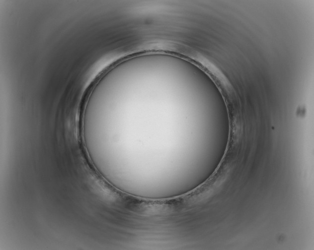 X0000096960886200802081228