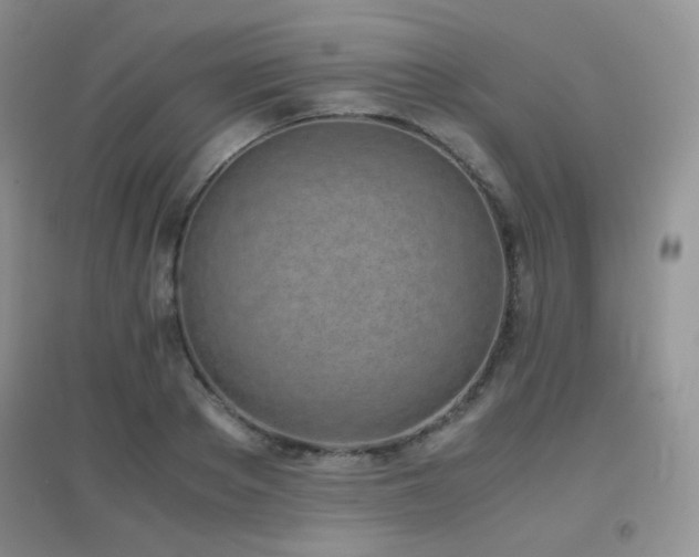 X0000096960889200802081228