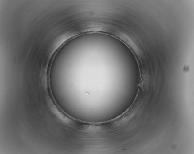 X0000096960890200802081228