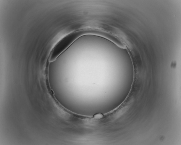 X0000096960893200802081228