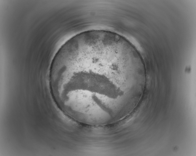 X0000096960895200802081227