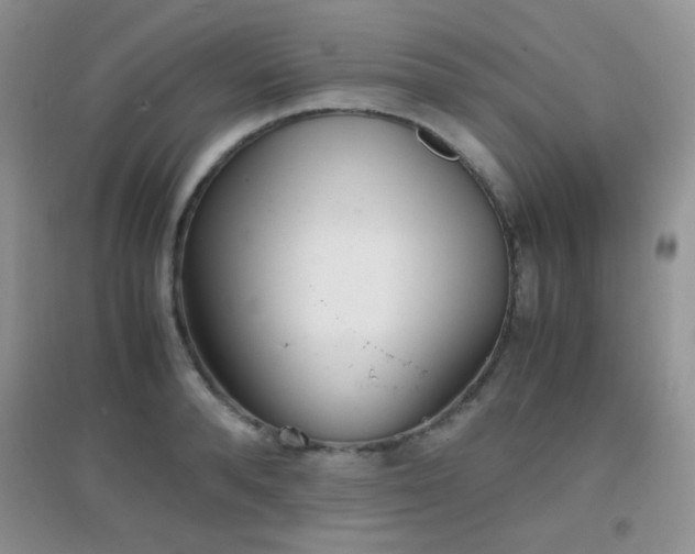 X0000096960896200802081227