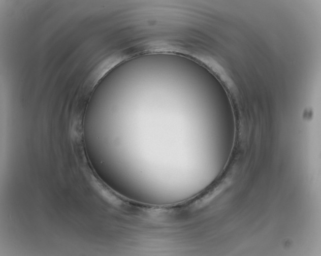 X0000096960897200802081227