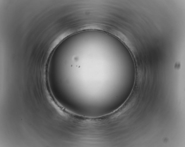 X0000096960898200802081227