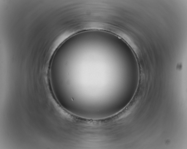 X0000096960901200802081227