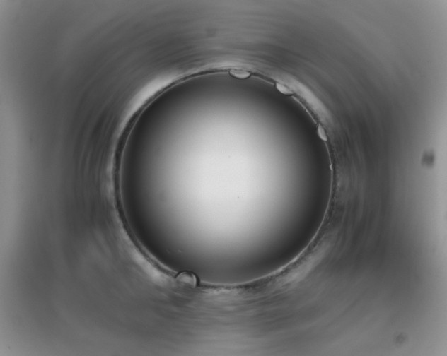 X0000096960902200802081227