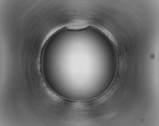 X0000096960904200802081227