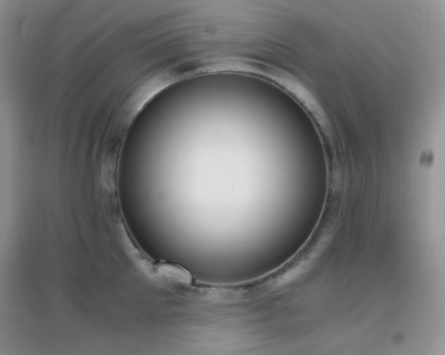 X0000096960905200802081227