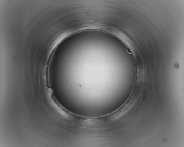 X0000096960906200802081227