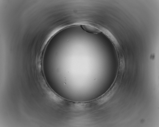 X0000096960908200802081227