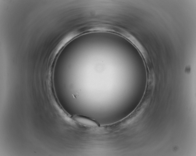 X0000096960909200802081227