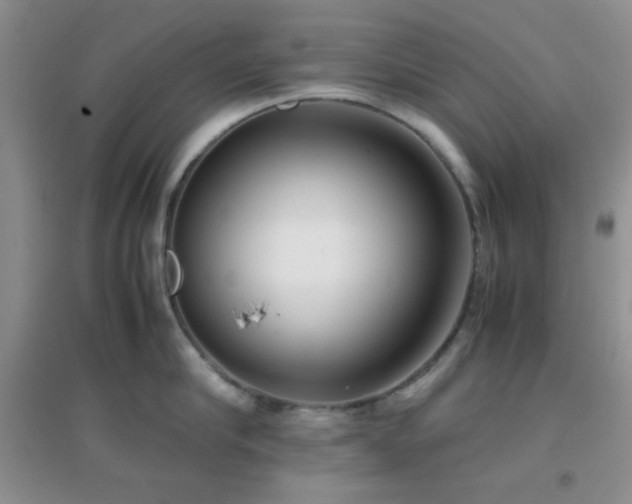 X0000096960910200802081227