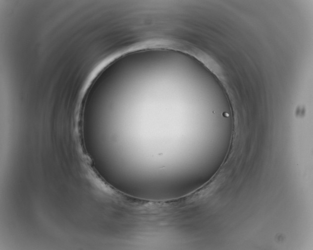 X0000096960912200802081227