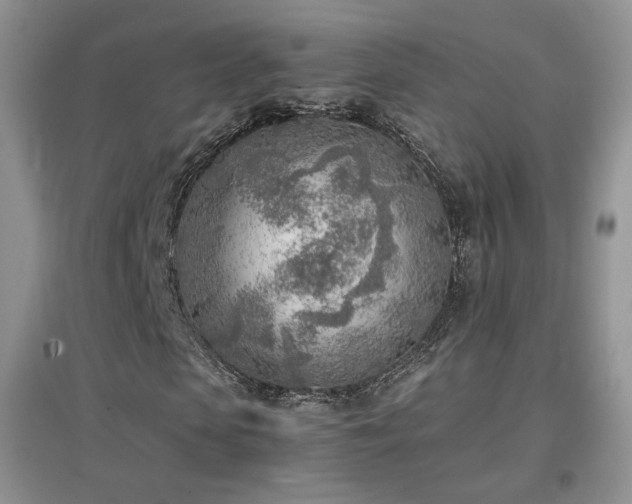 X0000096960913200802081227