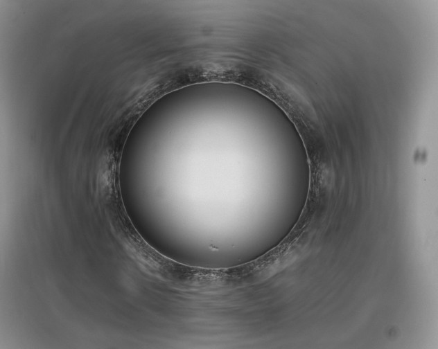 X0000096960914200802081227