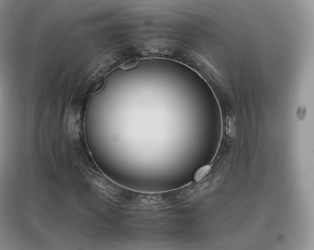 X0000096960915200802081227