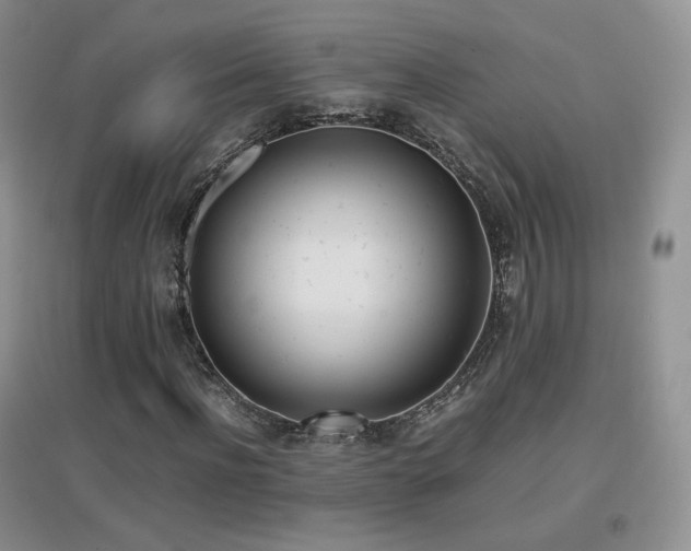 X0000096960916200802081227