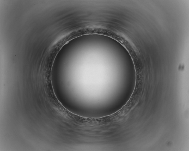 X0000096960919200802081227