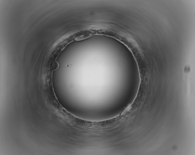 X0000096960920200802081227