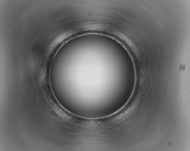 X0000096960922200802081227