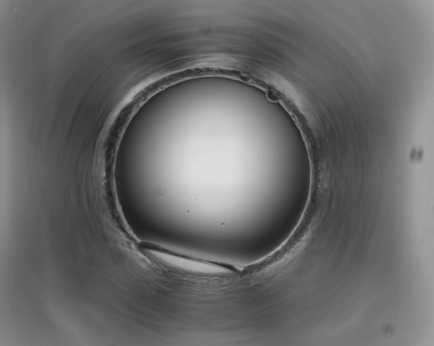 X0000096960923200802081227