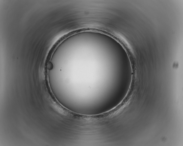 X0000096960924200802081227