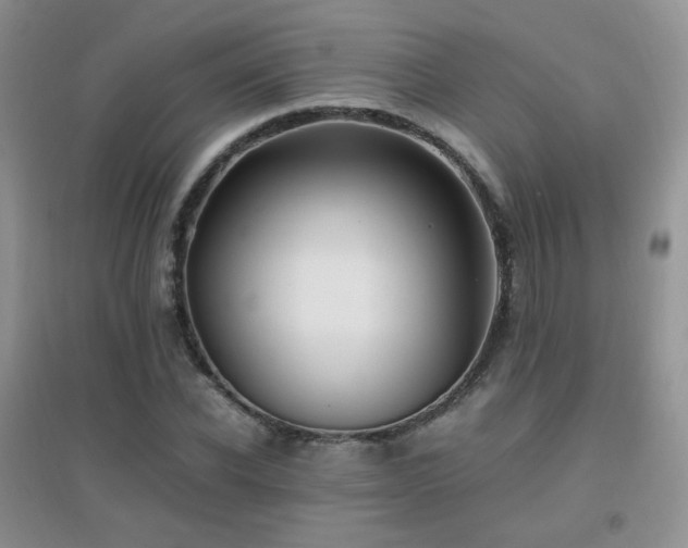 X0000096960926200802081227